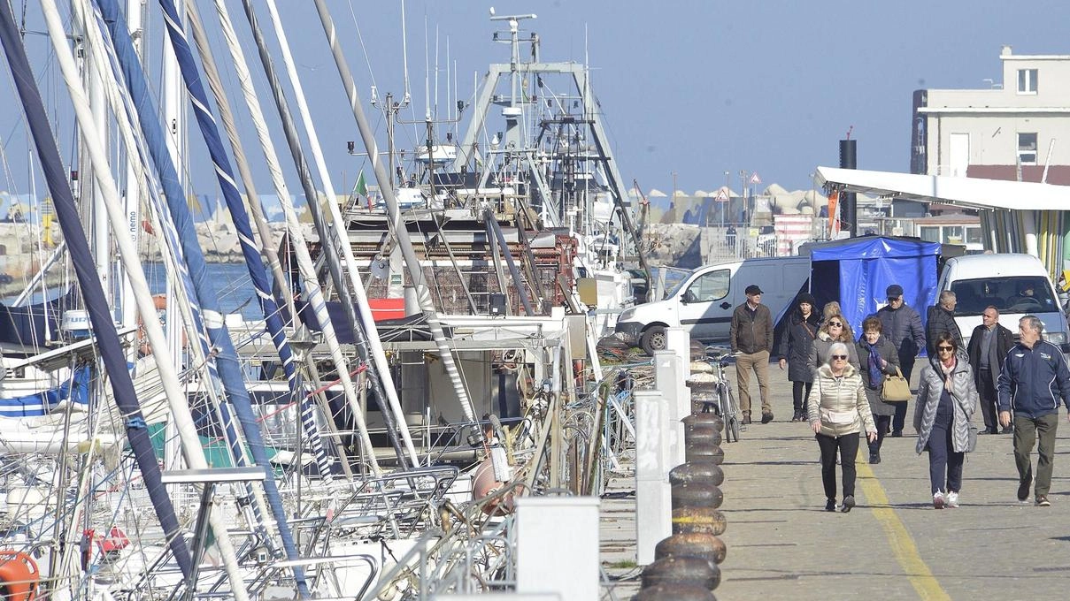 Porto, il cortocircuito. L’Autorità non riconosce gli atti della Capitaneria