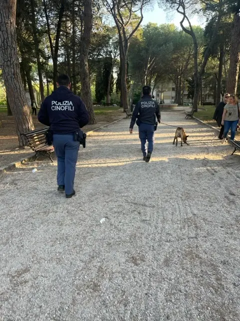 Jesi, truffa e fabbricazione di documenti falsi: arrestato 55enne calabrese