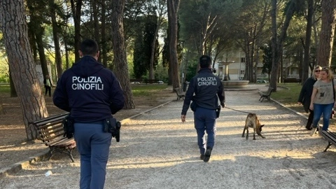 IN azione i poliziotti del commissariato jesino