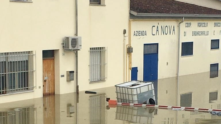 Gli effetti dell'alluvione alla Cab di Bagnacavallo