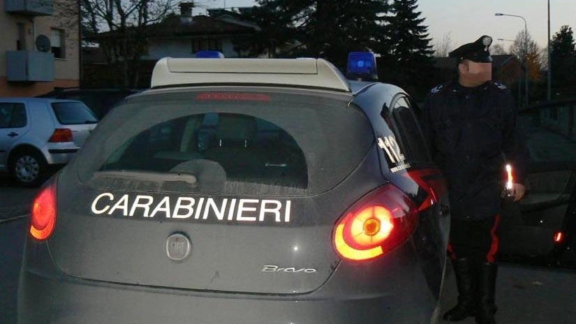 I numerosi furti hanno interessato diverse case in zona San Giacomo, a Guastalla