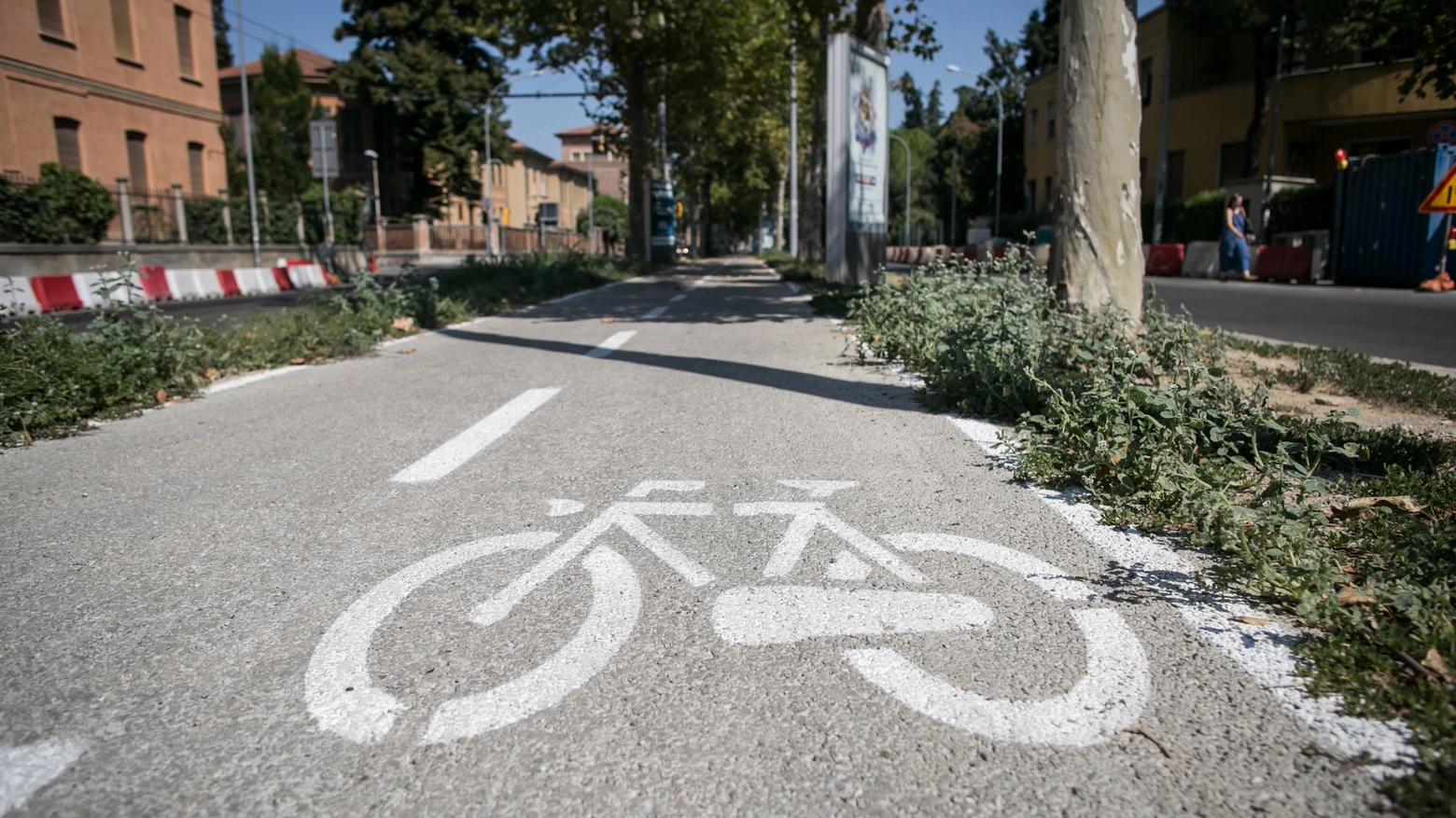 Una pista ciclabile sui viali a Bologna: i ciclisti sono obbligati a percorrerle? Ecco cosa dice il Codice della strada (FotoSchicchi)