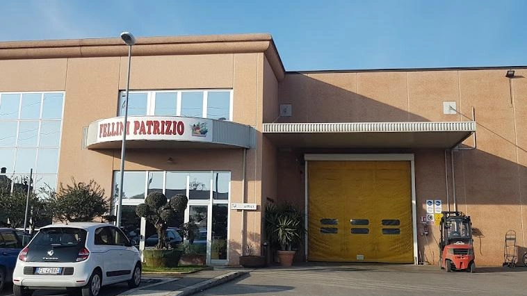 La sede della Fellini Patrizio di Gambettola