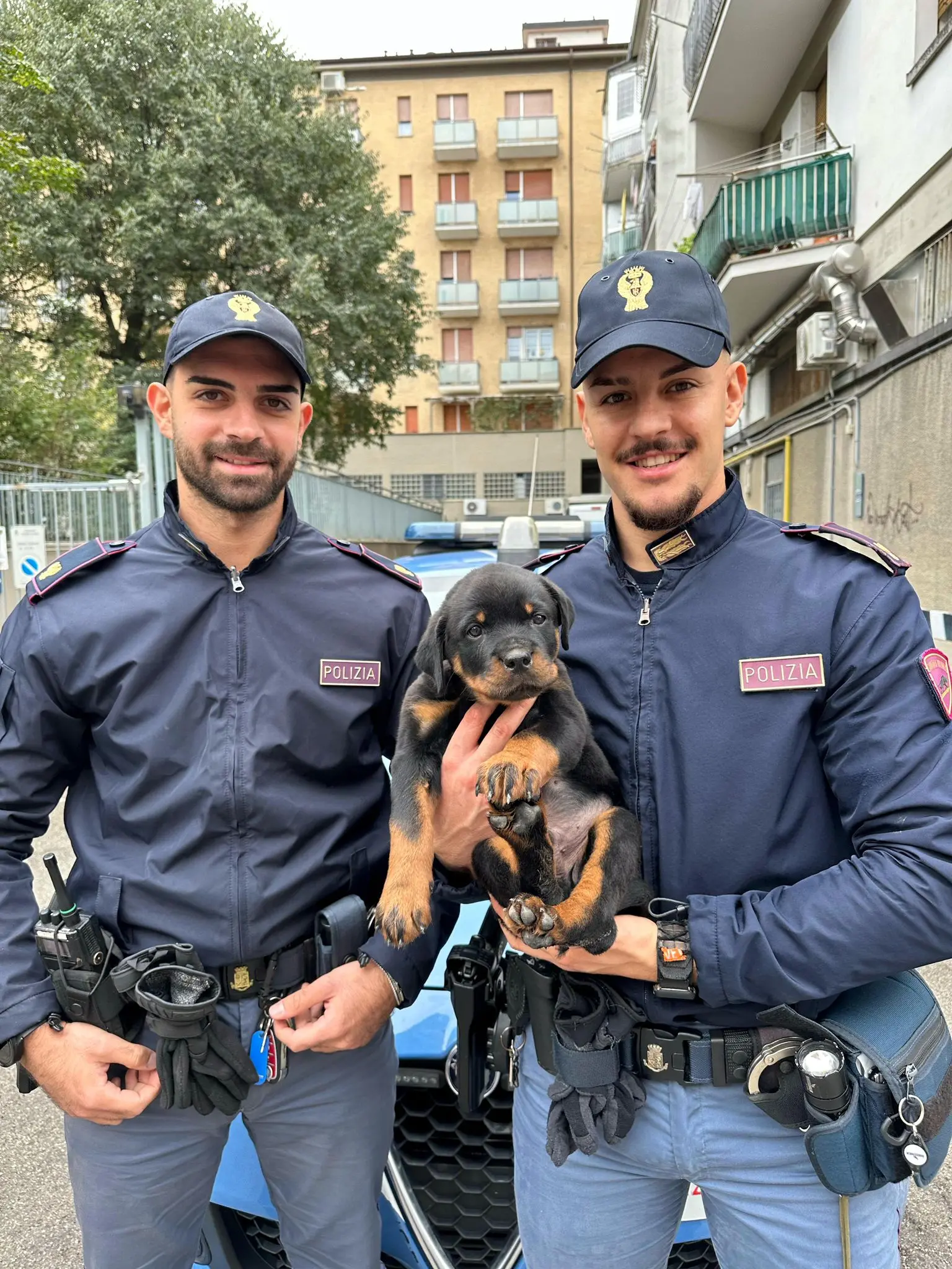 Cucciolo maltrattato salvato dalla polizia a Bologna