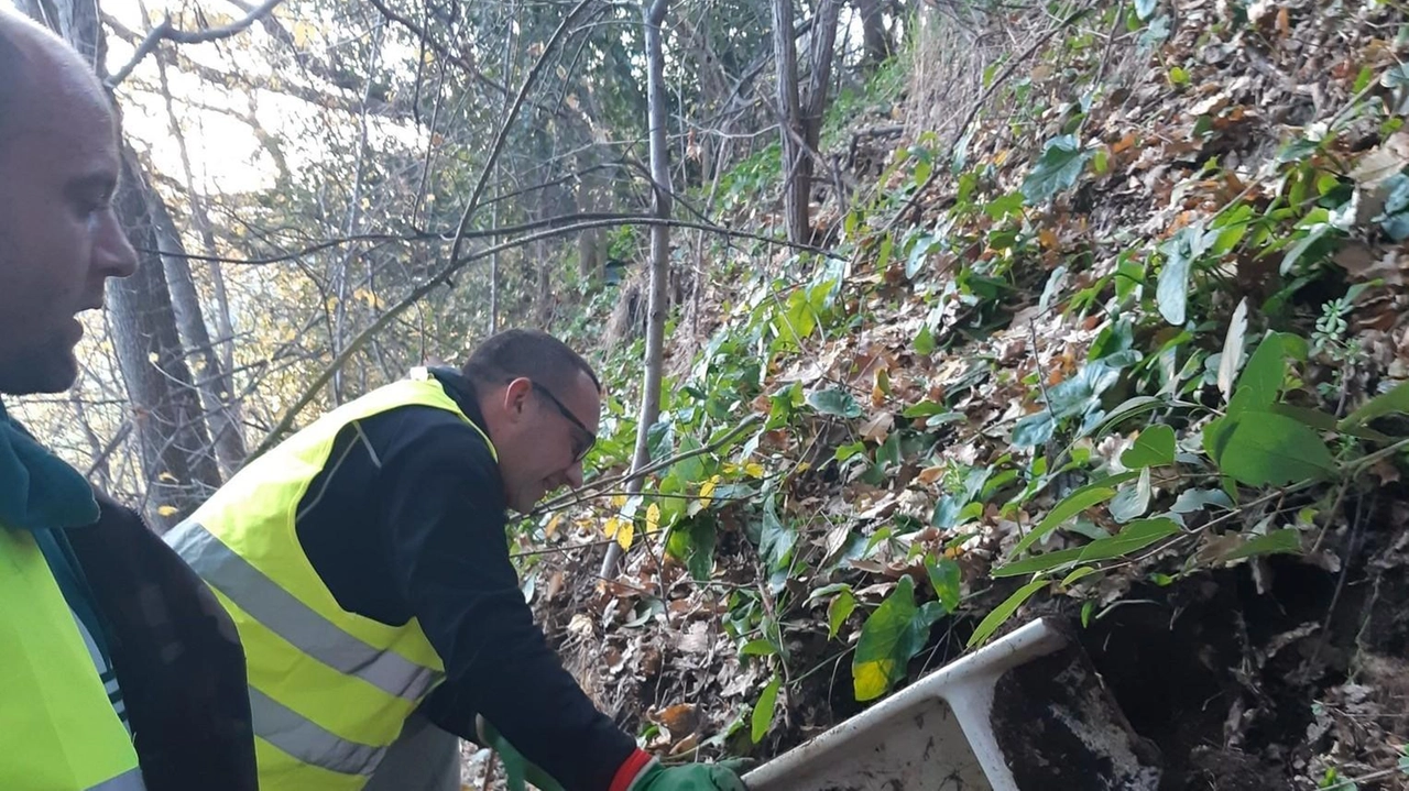 Volontari in azione per ripulire l’area tra la città e la zona costiera