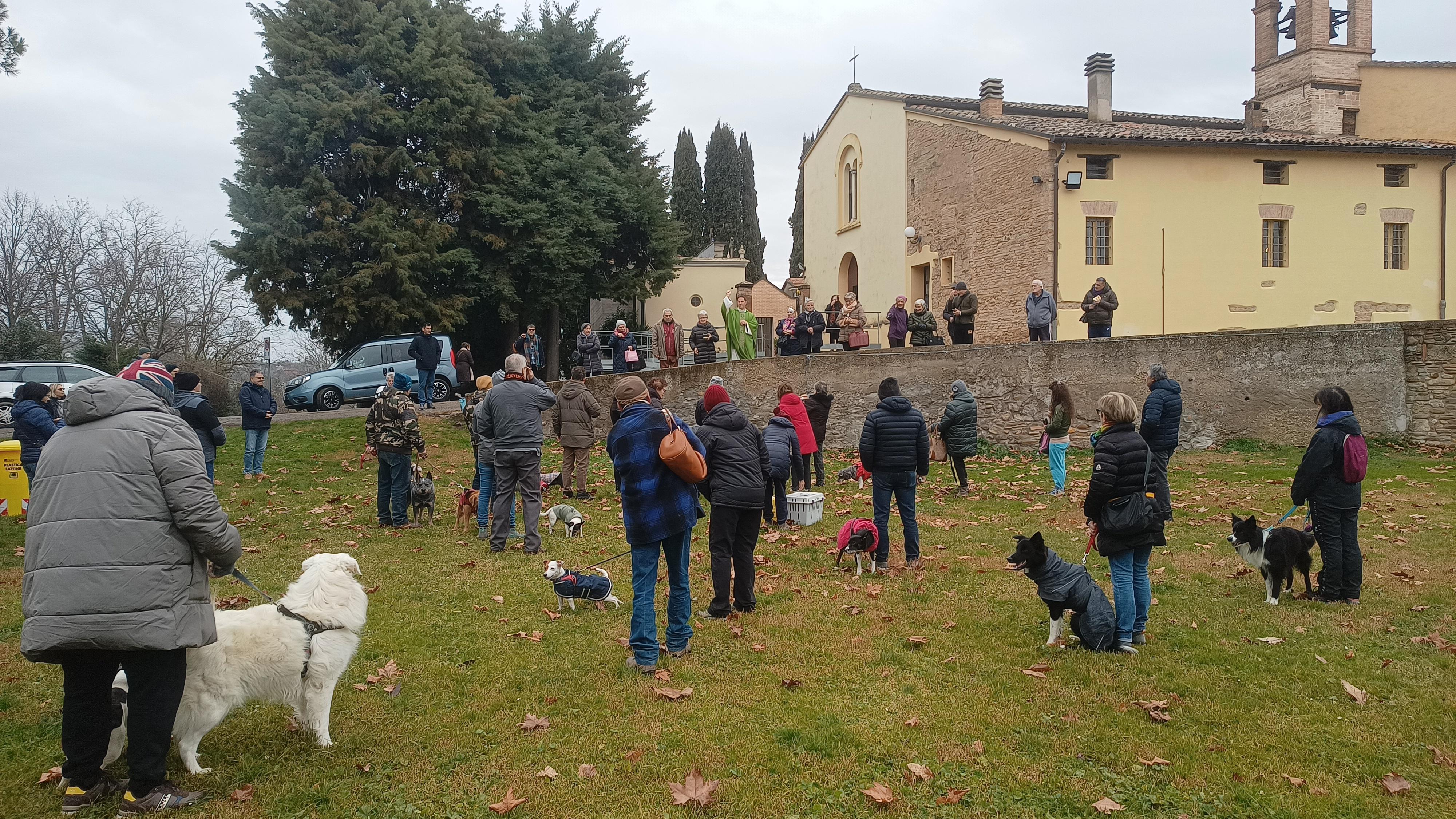 Castrocaro e Ladino, animali protagonisti della festa di Sant