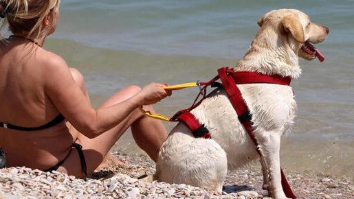 Cani in spiaggia anche nel periodo estivo