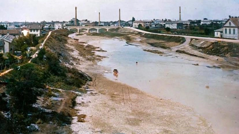 Com’è cambiato il Savio in città: "Abbiamo rialzato gli argini ma tolto spazio all’acqua"