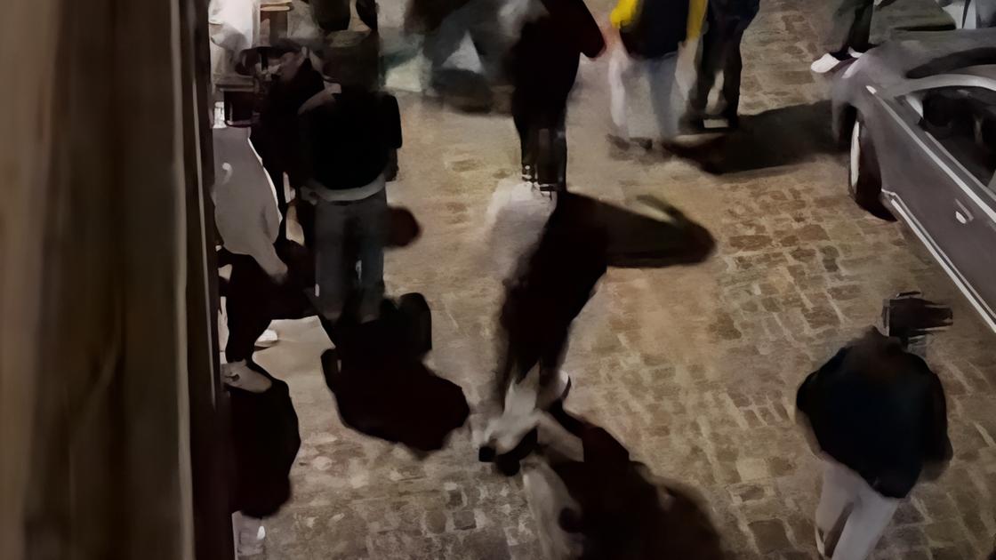 Maxi rissa in piazza: "Qui non si vive più". Polizia locale pronta al servizio notturno