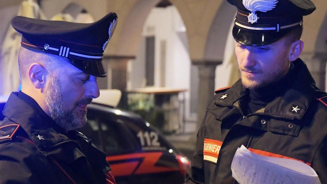 Sulla vicenda indagano i carabinieri (foto di repertorio)