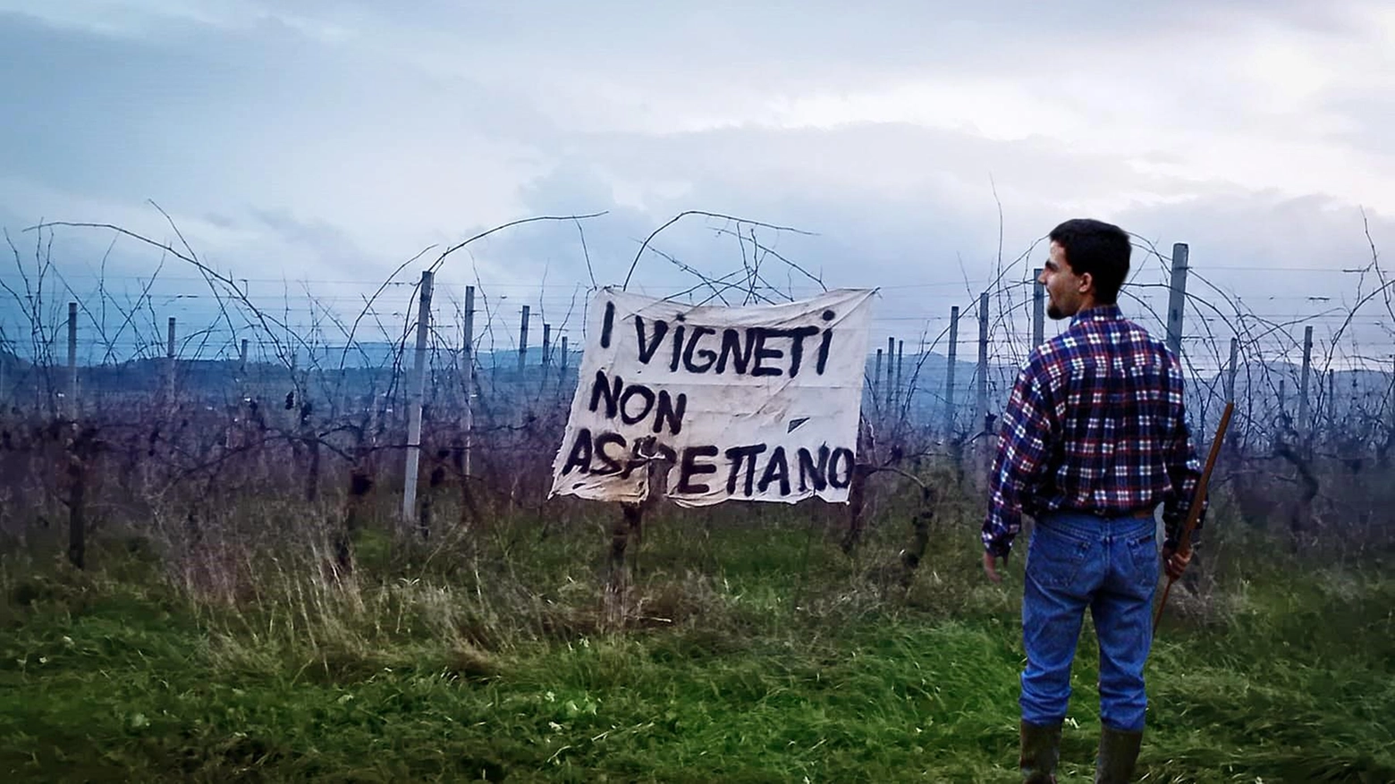 "Niente fondi ed è a rischio la vendemmia"