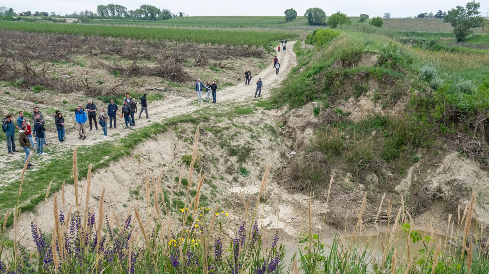 In alto nelle campagne fra Casale e la via Emilia una delle aree considerate allagabili