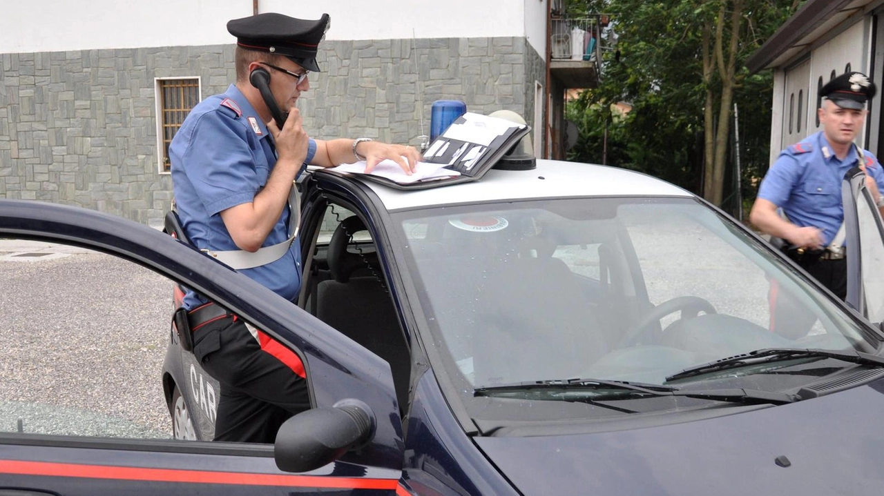 I carabinieri hanno poi. individuato il venditore, un 38enne di Portici (Napoli), e. lo hanno denunciato per ricettazione