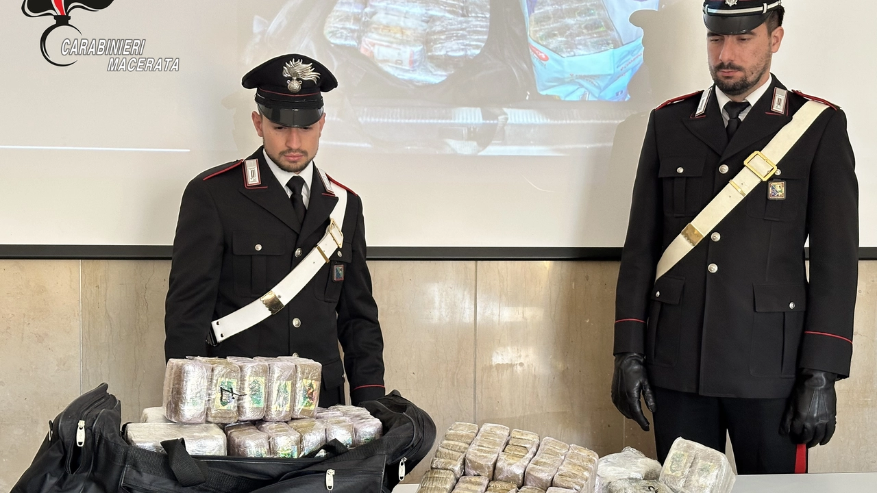 Due carabinieri mostrano la droga e i contanti sequestrati a Filottrano, al termine di una lunga indagine