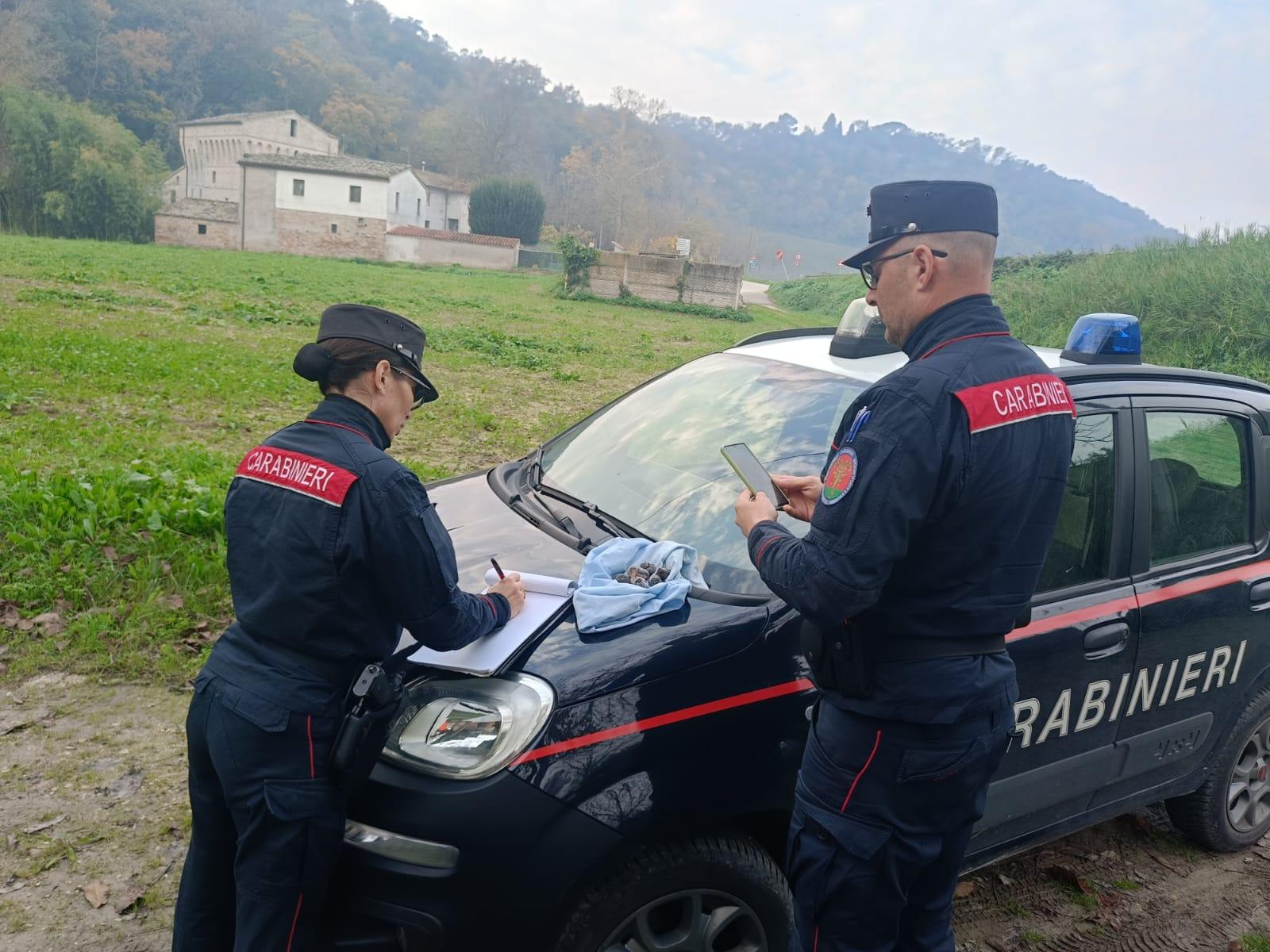 Fabriano, rubava trartufi nel parco della Gola della Rossa: fabrianese nei guai