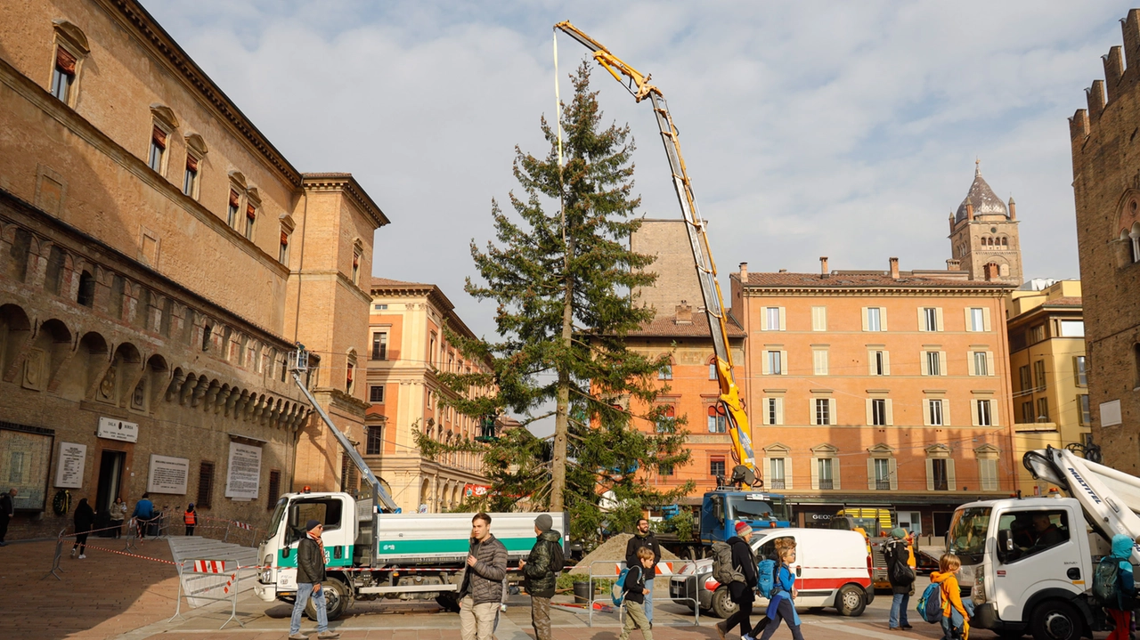 ALLESTIMENTO ALBERO DI NATALE IN PIAZZA NETTUNO