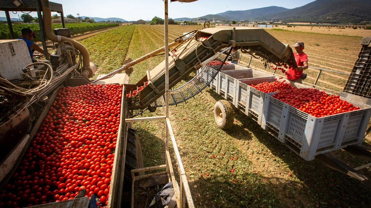 Il boom dei costi decima gli utili. Frena pure l’occupazione: -4,7%