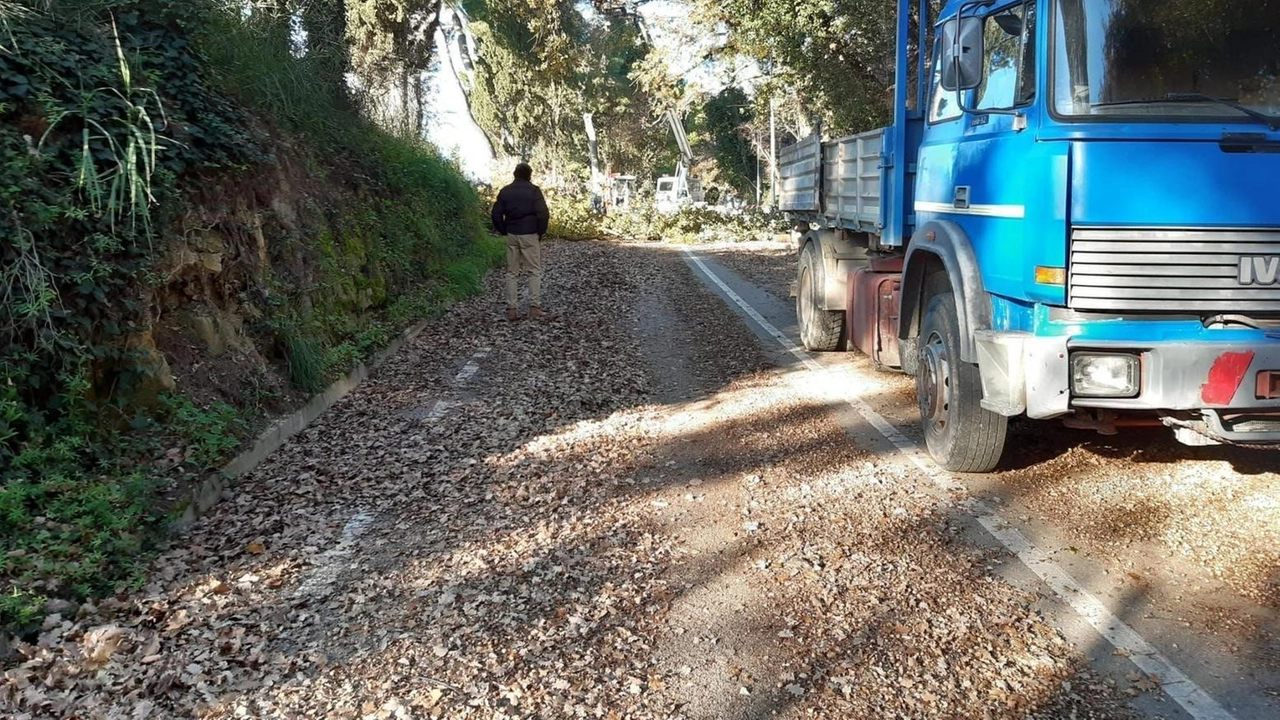 I lavori avviati ieri sulla strada di San Bartolo