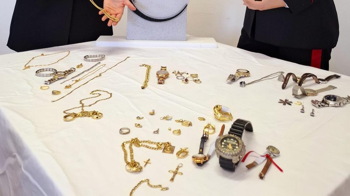 L’oro rubato era nascosto in un doppio fondo nel pollaio: denunciata una 44enne