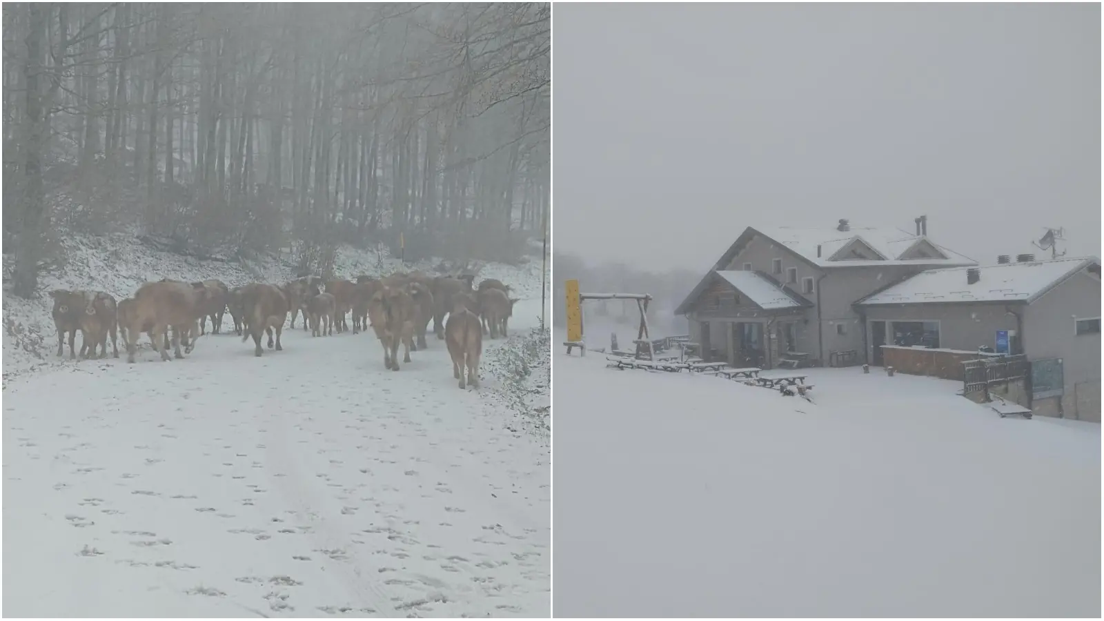 Nevica oggi nelle Marche: dove sono le prime suggestive imbiancate