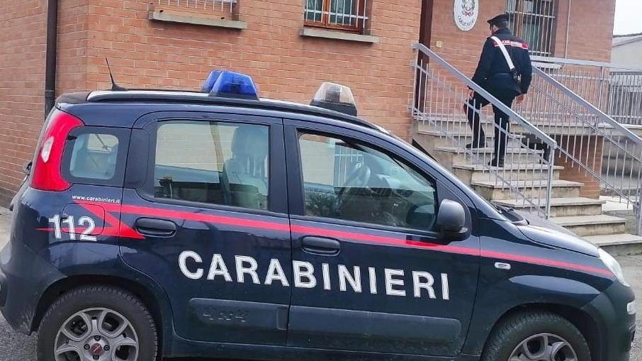 Indagano i carabinieri di Reggiolo