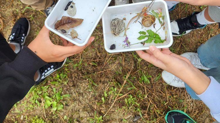 Sono aperte le iscrizioni per il progetto didattico "Andar PER Campi" per l'anno scolastico 2024-2025, dedicato alla variegata vegetazione del Parco Ecologico del Rubicone. Contattare la segreteria per partecipare.