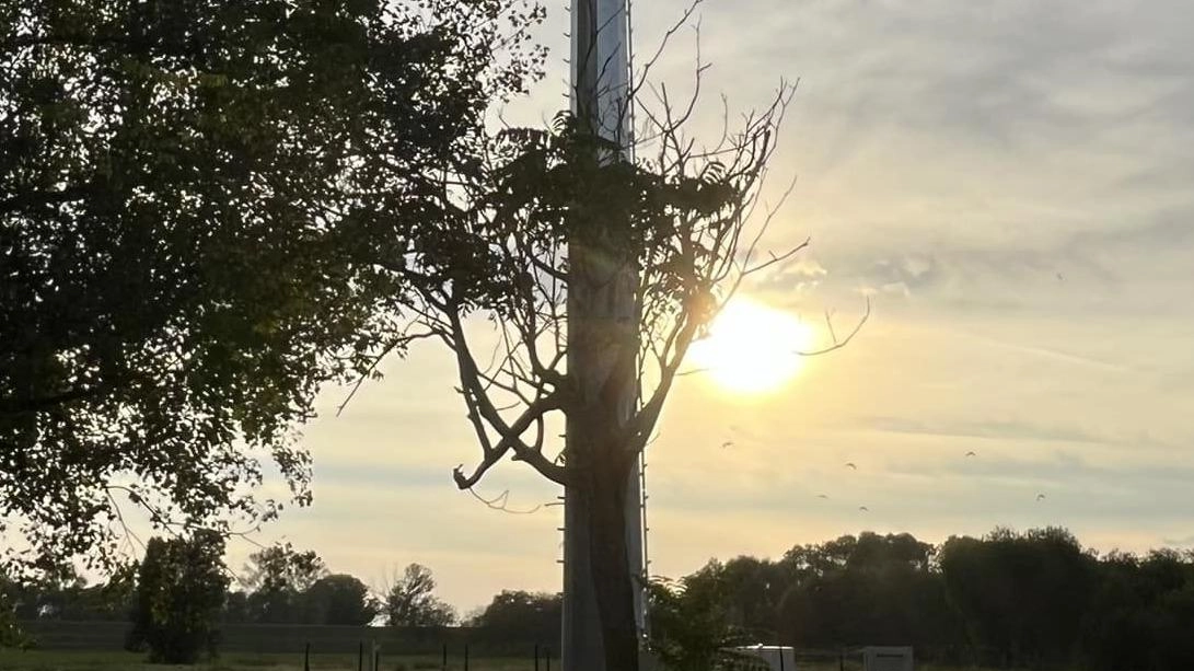 L’antenna in via Panagulis a Luzzara