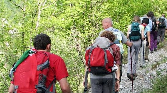 Si conclude il Festival dell’Appennino inclusivo di natura 2024 ad Acquasanta Terme con escursione a San Gregorio e concerto di Chiara Galiazzo a Fleno. Partecipazione gratuita su prenotazione.