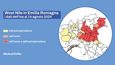 West Nile, crescono i casi in Emilia Romagna: cos’è la febbre del Nilo e i dati