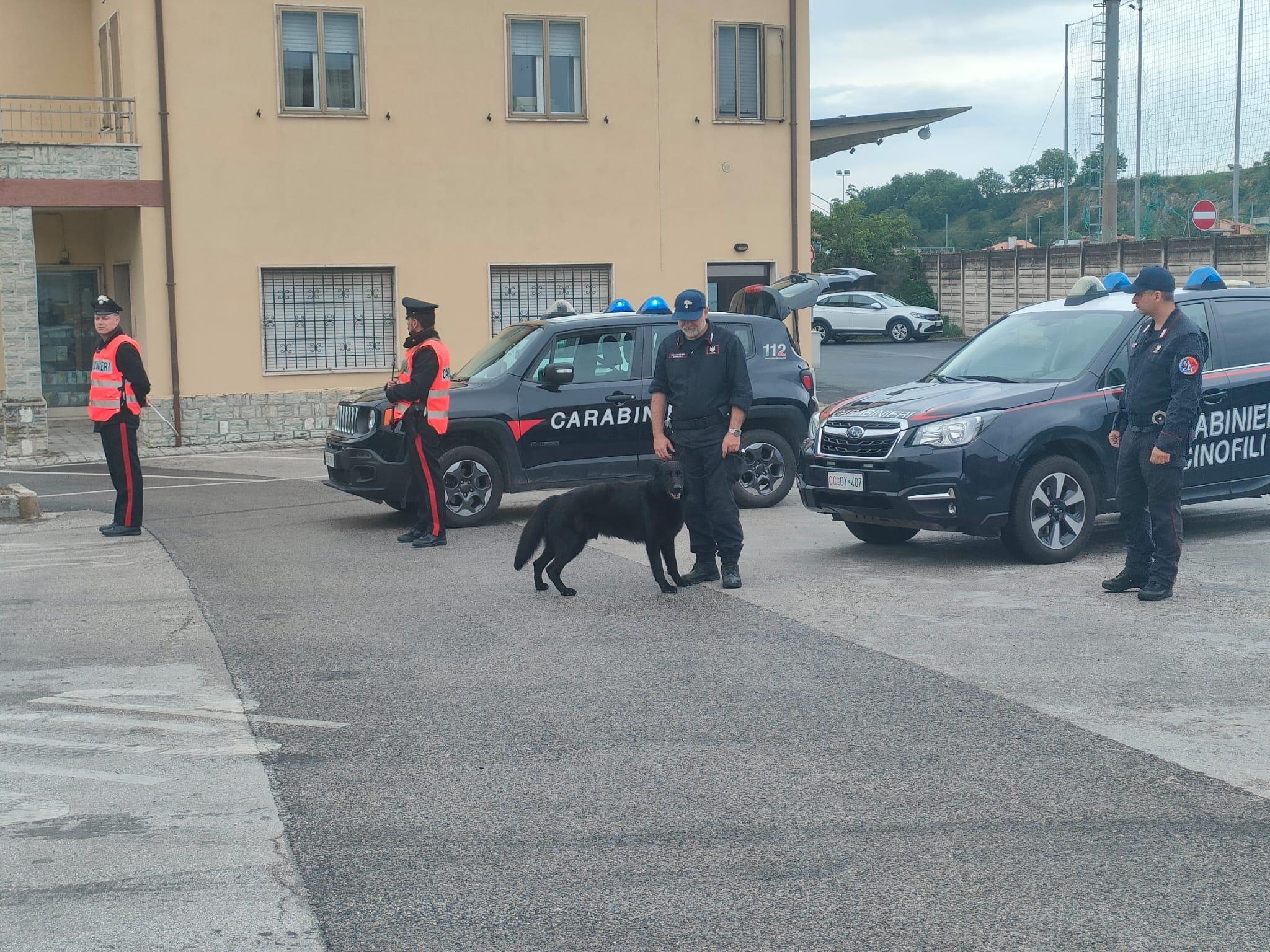 Fabriano, giovani alla guida con la droga: strage di patenti