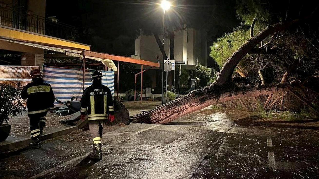 Alberi pericolanti, insidia sulle strade. Molte piante indebolite dalla burrasca