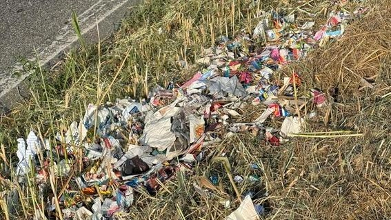 Degrado ambientale ad Brescello dopo il taglio dell'erba sull'argine del Po: cittadini segnalano rifiuti in plastica rimasti. Situazione non migliorata nonostante le segnalazioni passate.