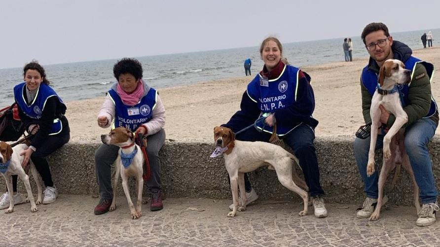 A spasso in spiaggia con i cani da adottare: "Venite a vederli al canile comunale"