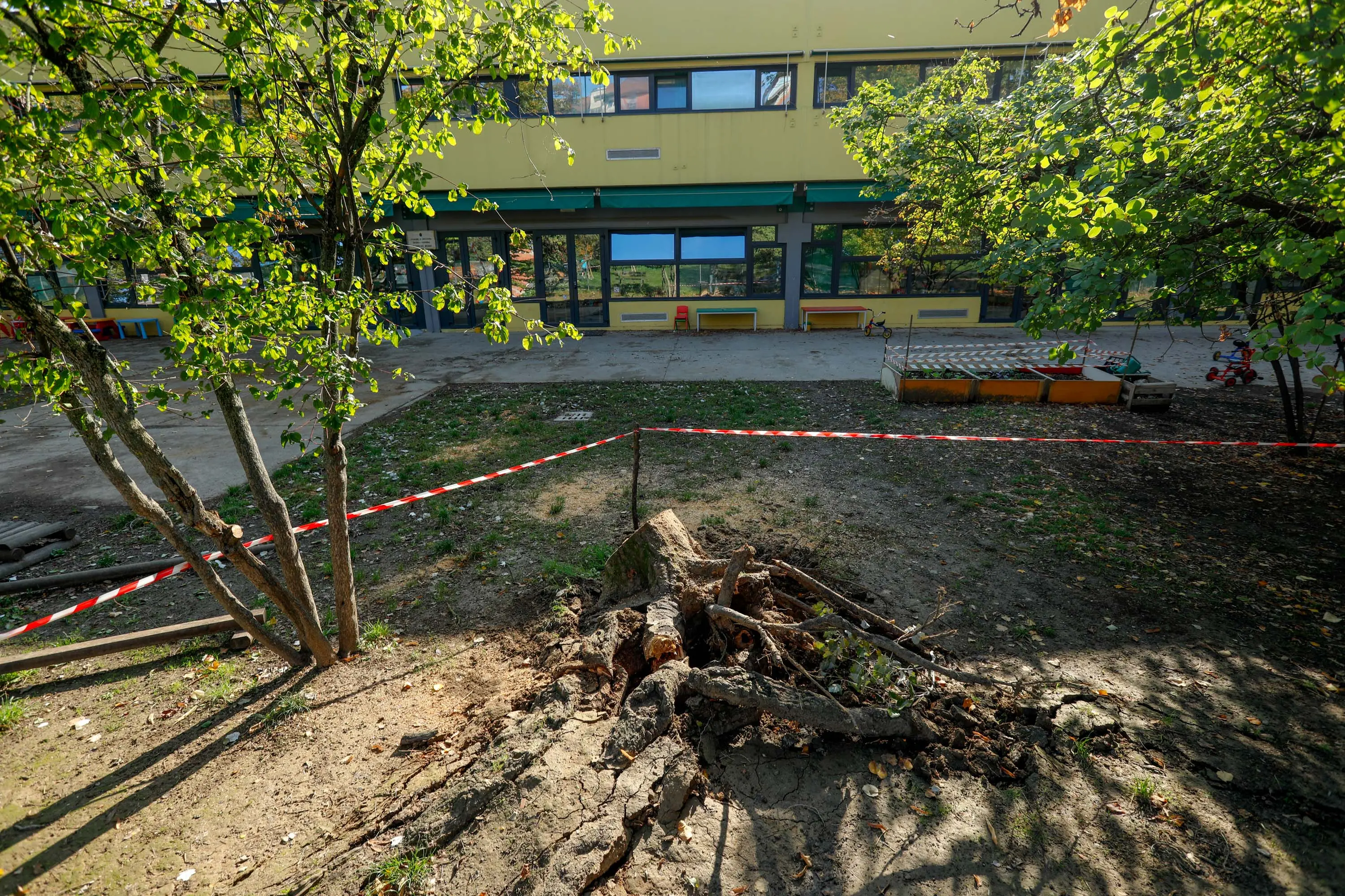 Bologna, cade un albero nel giardino dell’asilo Gastone Rossi