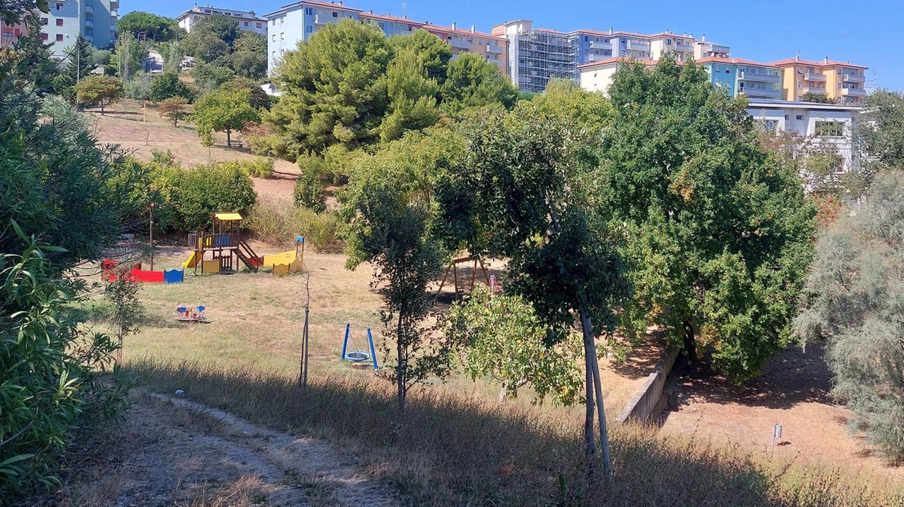 Un nuovo bosco urbano arriverà presto al Parco Robinson grazie a un finanziamento regionale. Il progetto "BoscoMio" prevede la piantumazione di alberi e arbusti per arricchire l'area verde e coinvolgere la comunità locale.