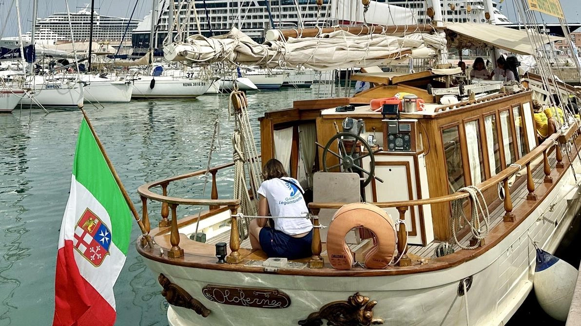 Legambiente ha rivelato che Esino, Tenna e Tronto sono i fiumi marchigiani più inquinanti per la costa. Solo tre punti su dodici superano i limiti di legge, ma c'è una tendenza positiva complessiva. Il fiume Musone, a sorpresa, rispetta i parametri.