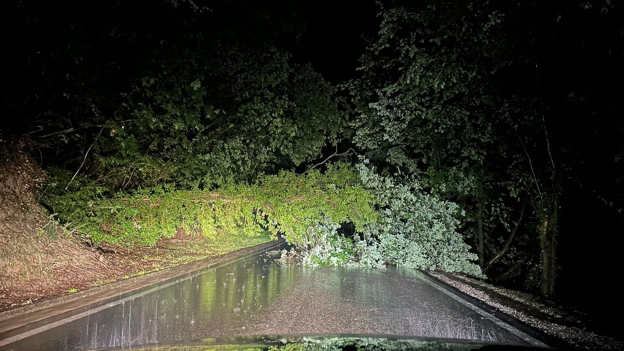 A causa della caduta di alberi e di una frana, difficoltà sulla SP32