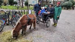 Il giretto in centro con il pony