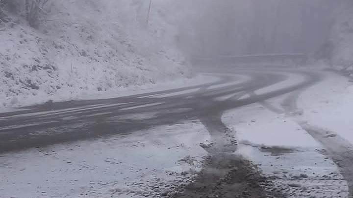 Nevicata in Alto Savio, nel Cesenate, lungo la provinciale 142 Mandrioli