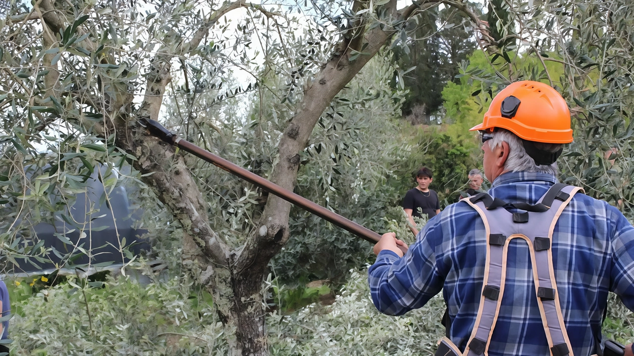 Dai potatori ai calzolai: "Gli anziani non ce la fanno più e purtroppo di giovani non c’è neanche l’ombra"