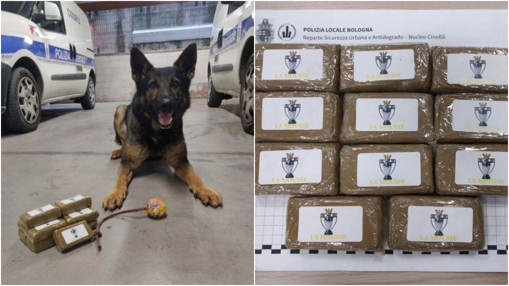 Il cane Ares trova oltre un chilo di droga in Montagnola a Bologna