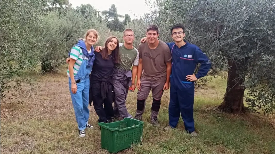 La scuola dei mestieri: nuovi corsi, tre anni e impari un lavoro (anche il contadino)