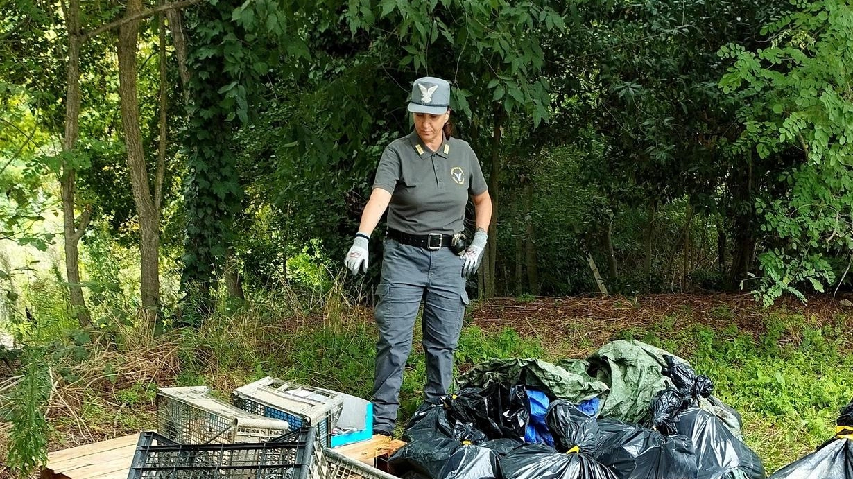 Degrado al parco urbano. Pulizie della Guardia zoofila