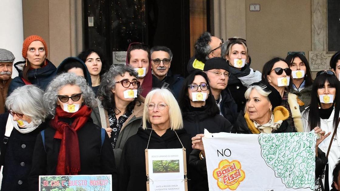 Ospizio, Conad e la bufera sul bosco: "Ascolteremo con attenzione le richieste dell’amministrazione"