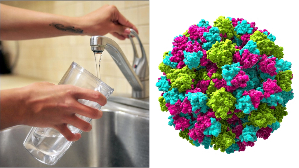 Garda: rilevata la presenza del norovirus all'interno dei serbatoi idrici