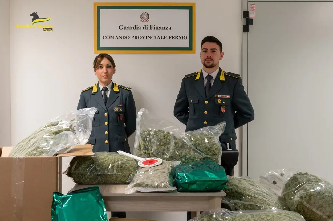 Importa marijuana a Fermo, 40enne nei guai