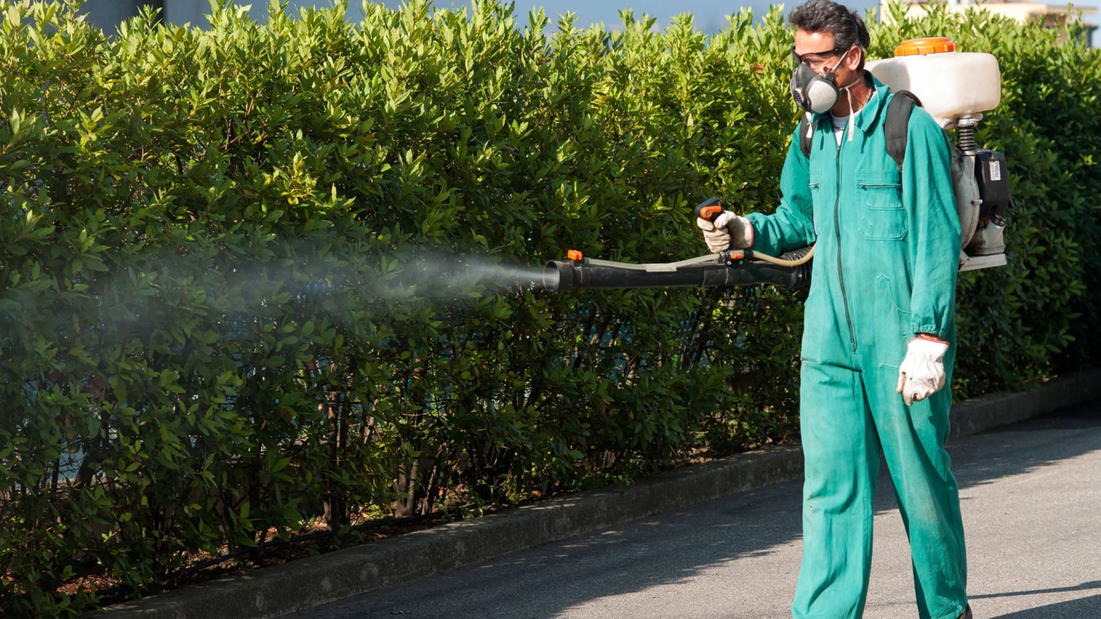 In programma nuove disinfestazioni anti-Dengue a Fano (foto d’archivio)