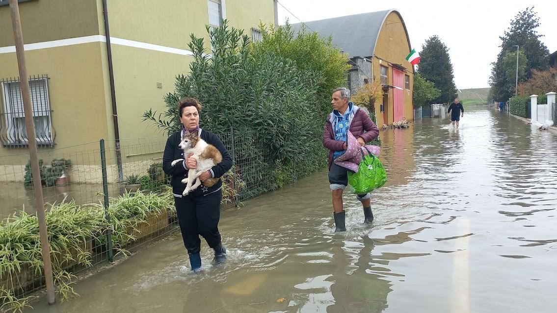 Piena del Po a Reggio, corsa contro il tempo per chiudere gli argini