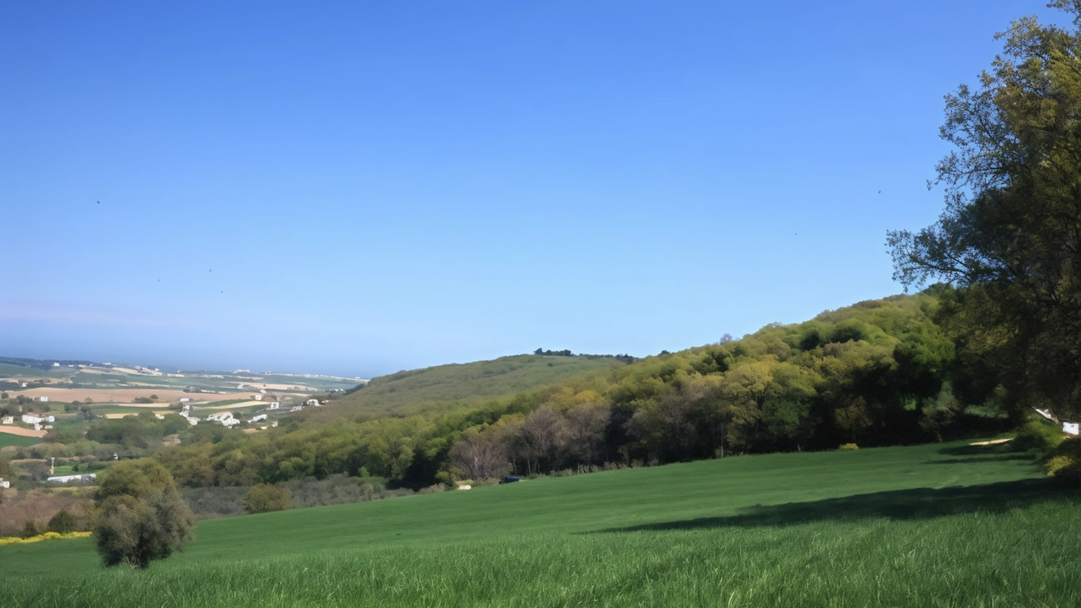 La Selva nel Parco del Conero: è scontro politico a Castelfidardo