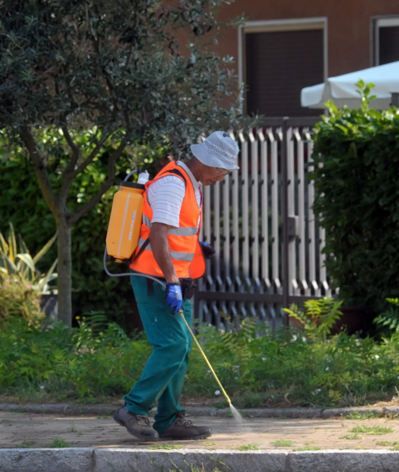 West Nile, scatta l’allerta disinfestazione